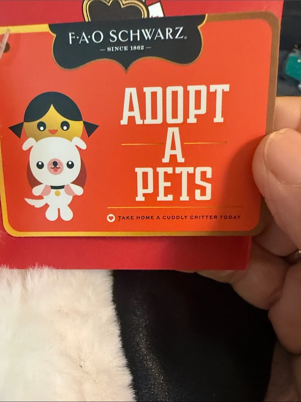 FAO Schwarz Gray & White Husky Plush - Adopt A Pets Tag - Picture 2 of 4